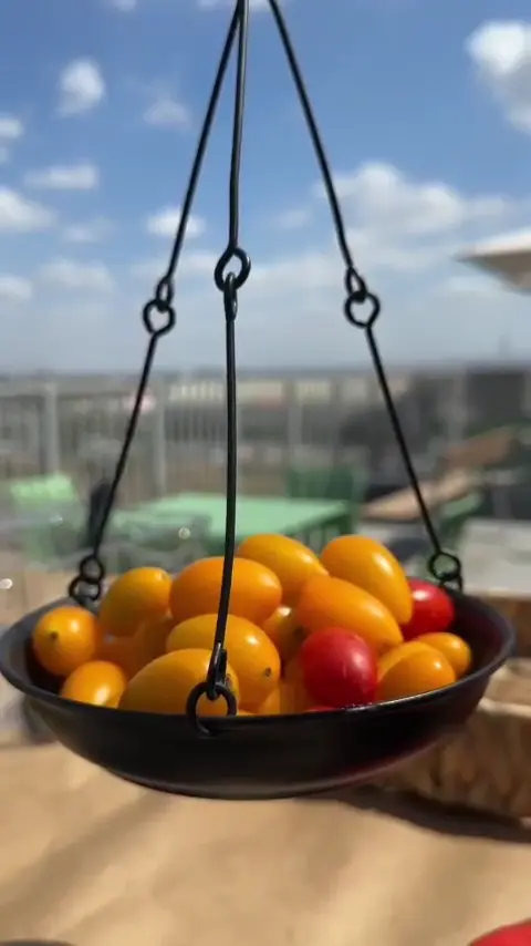 תמונת סרטון מהאירוע